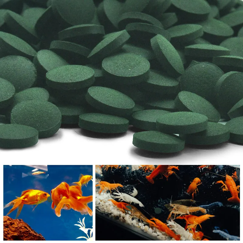 Spirulina Tablet Organic - 100-500 Buah Tablet Spirulina Kemurnian Tinggi