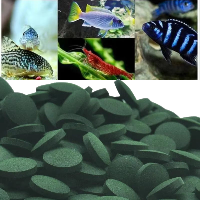 Spirulina Tablet Organic - 50/100/300/500 Buah Tablet Spirulina Konsentrat Rumput