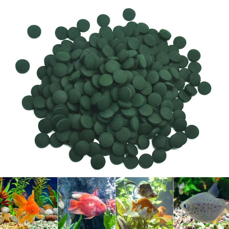 100-3000pc Tablet Spirulina Ke - Spirulina Tablet Organic ulasan dan harga